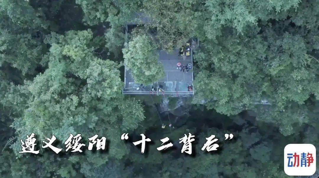 逗小猴开心系列210